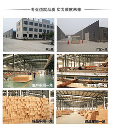 水泥选购指南 品质与用途详解