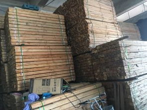 伦兴伦益五金周边家居建材聚集地 探索厚街镇家具大道64号的家居装饰新天地